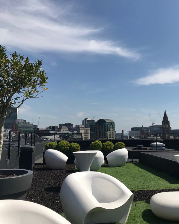 Roof top Garden at Red Cow Media